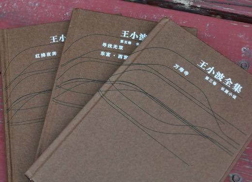 《王小波全集》精装， 3、4、5册，王小波著，云南人民出版社2006年版，定价86.4元，售价58元，非偏远地区包邮。品相95成。 商品图1