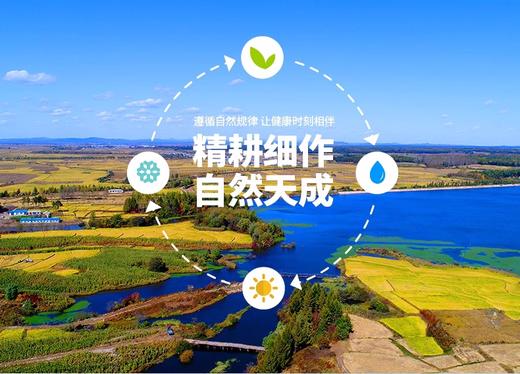 徐府帝稻有机五常大米10斤 商品图4