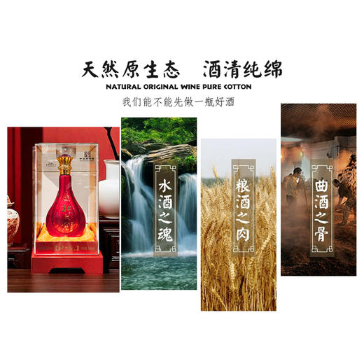 【浓香型】北大仓-52° 百年经典 500ml 商品图2