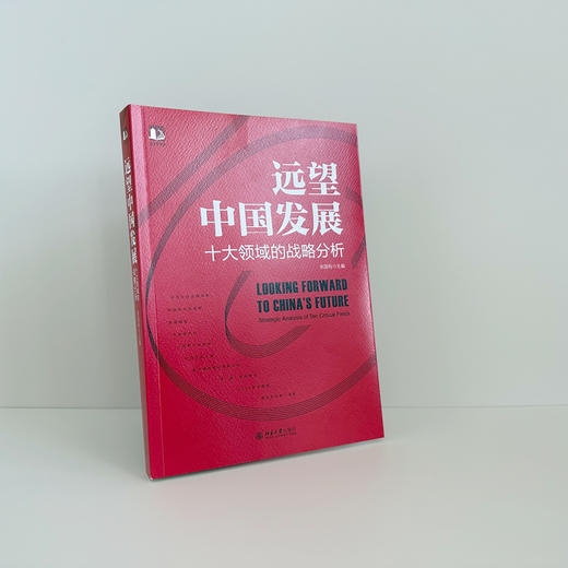 远望中国发展——十大领域的战略分析 张国有 北京大学出版社 商品图1