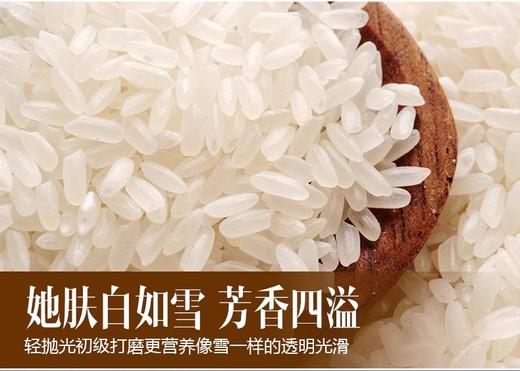 徐府帝稻有机五常大米10斤 商品图7