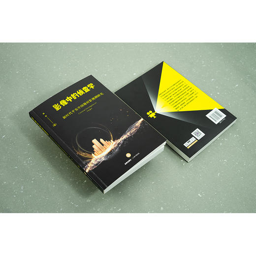 影像中的侦查学：新时代平安中国题材影视剧研究   肖军著  法律出版社 商品图4