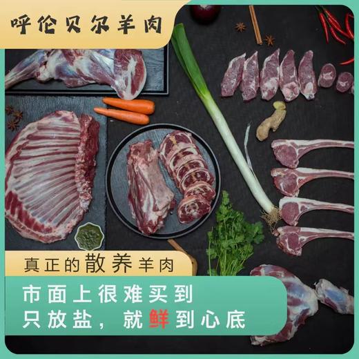 【新鲜羊肉】呼伦贝尔草饲羊肉，国家地理标志性产品，不膻不腻有奶香，可随意搭配，顺丰空运 商品图1