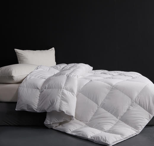 【鹅绒被 可定制】SCHIESSER舒雅生活至臻鹅绒被1200g充绒量轻盈且保暖性强，均采用优质的鹅绒绒朵，独特衔缝设计不成团，不跑绒，静音面料12040023020032（3） 商品图1