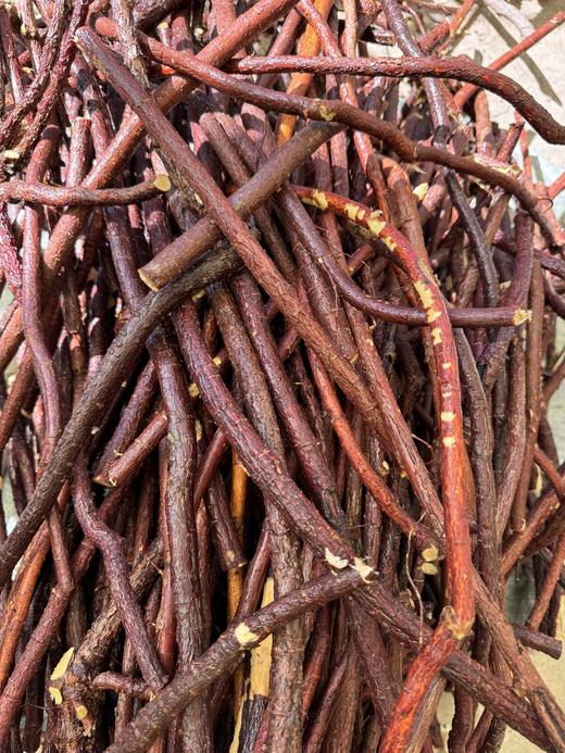 甘肃岷县野生甘草 | 野生采挖 | 公平贸易 * Wild Codonopsis Of Min County | Fair Trade 商品图4