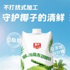 1L春光椰子水 0脂肪 快速补水 商品缩略图1