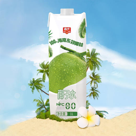 1L春光椰子水 0脂肪 快速补水 商品图0
