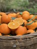 【爱媛果冻橙】 果冻口感 柑橘皇后 可以吸着吃的果冻橙 甜度13以下不采摘 5斤8斤CC 商品缩略图6