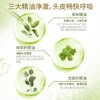 舒蕾绿茶籽控油去屑洗发水500ml+蚕丝保湿顺滑护发素500ml 商品缩略图4