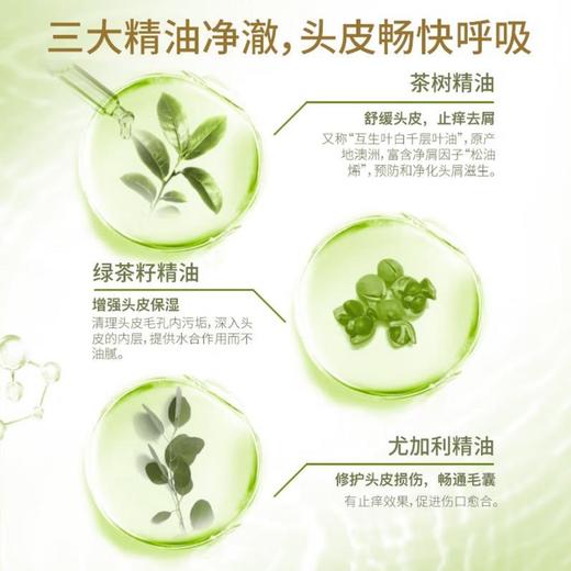 舒蕾绿茶籽控油去屑洗发水500ml+蚕丝保湿顺滑护发素500ml 商品图4