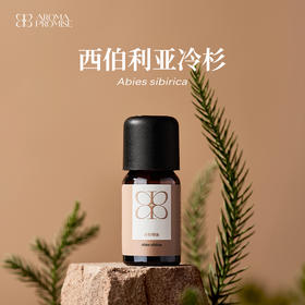 西伯利亚冷杉精油 清新的森林树香气味 净化呼吸道 顺畅呼吸