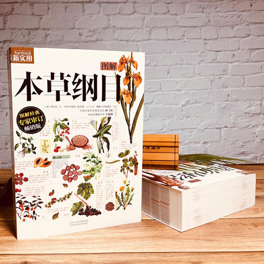 图解黄帝内经+本草纲目 商品图1