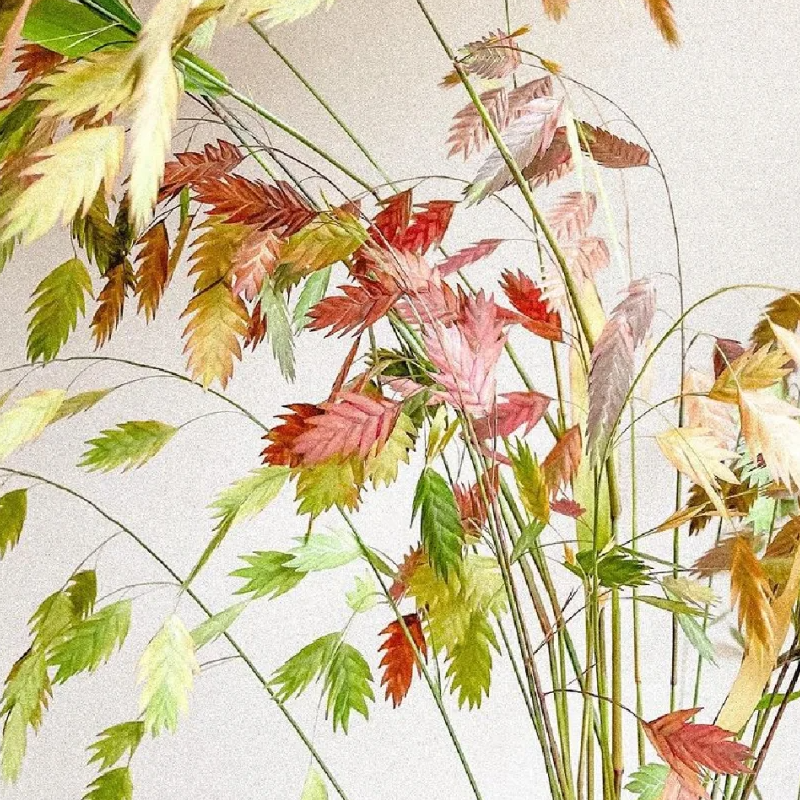 小盼草  若干支/扎 以实物为准 云南基地发货（价格已包含包装费用） 运费以实际为准，多退少补。