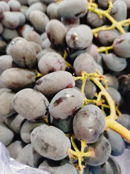 黑宝石黑提一斤 商品图2