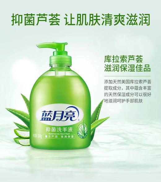 蓝月亮 芦荟抑菌洗手液500g 商品图1