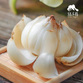 生态高原鲜百合 | 合作生产*Eco- Lily | Coproduction