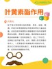 勾医生水呼吸叶黄素酯软糖60g（2g*30粒） 商品缩略图5