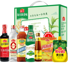 海天调味料礼盒D