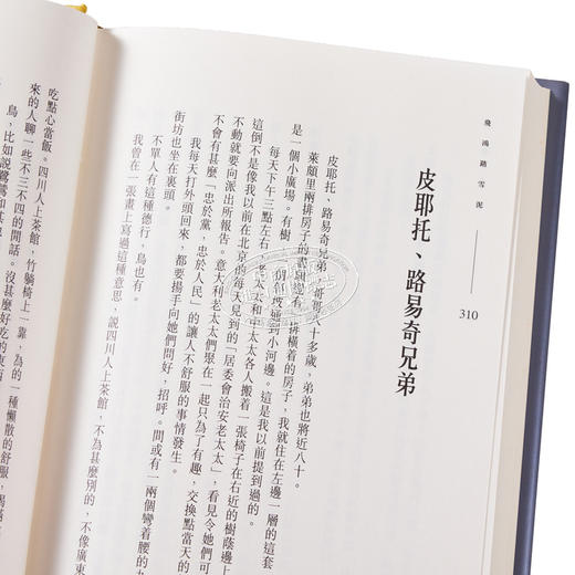 预售 【中商原版】书画人生 港台原版 黄永玉 天地图书 精装 商品图3