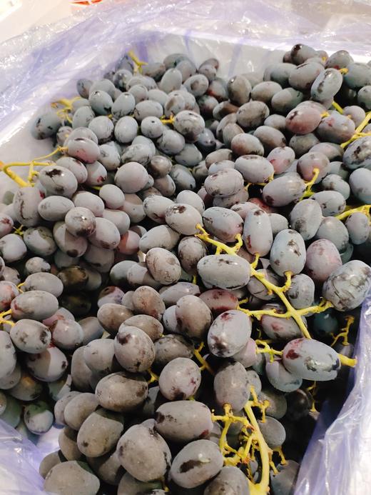 黑宝石黑提一斤 商品图0