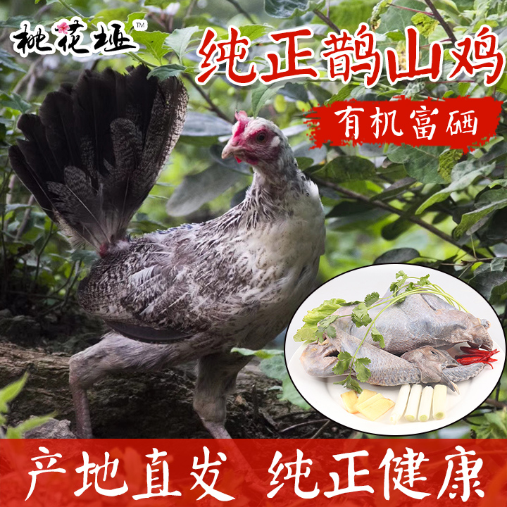 【活动买一送一】有机富硒  桃花垭纯正鹊山鸡