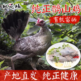 【活动买一送一】有机富硒  桃花垭纯正鹊山鸡