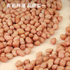 素养生活 有机白花生400g 生花生米 白皮花生 花生豆 花生仁 水煮凉拌油炸 /粮油调味 /杂粮 /其他杂粮 商品缩略图7