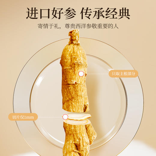 杞里香100g罐装美国2#1.0-1.2西洋参进口西洋参，好产地，皂甙含量更足用心选材，片片严选 商品图2