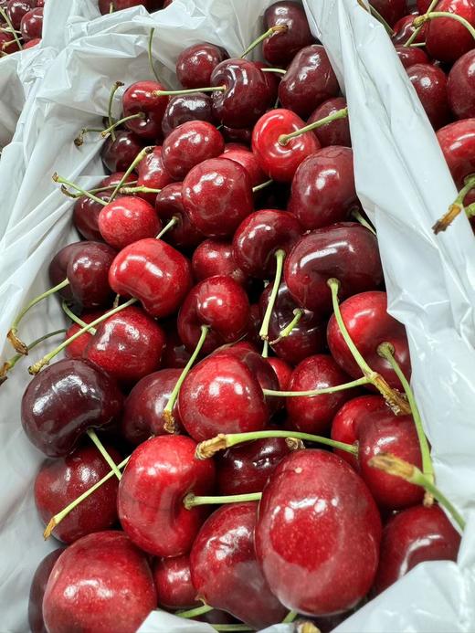 2025年澳洲维多利亚州空运车厘子 商品图4