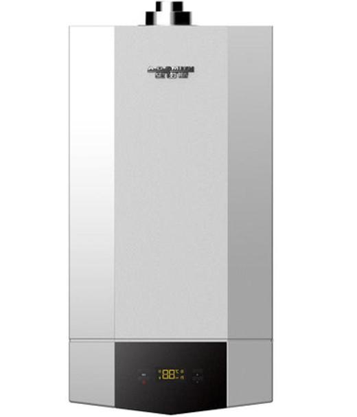AO史密斯L1PB20-A1采暖两用炉 商品图0