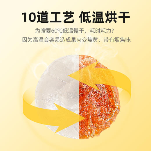 【新货现发】莆田原产10A桂圆干 桂圆肉无核  粒大饱满 250g/罐 商品图6