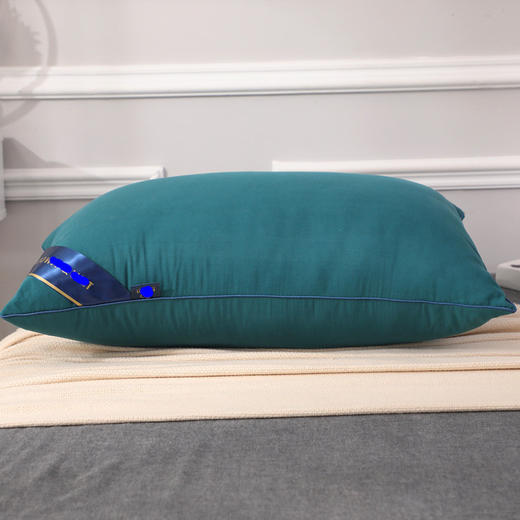 诗梦姿 不塌陷家用护颈枕头芯48*74cm 蓬松柔软 快速回弹 久用不塌 商品图5