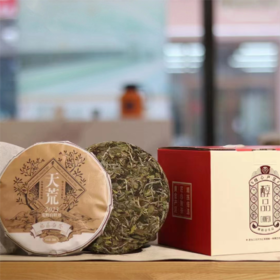 天荒.白牡丹（2023）福鼎白茶