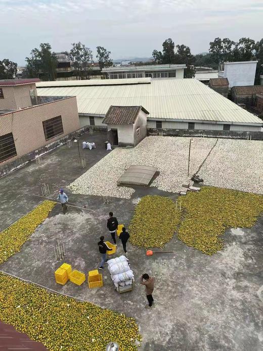 2020年全日晒新会陈皮 200克 礼盒装 商品图7