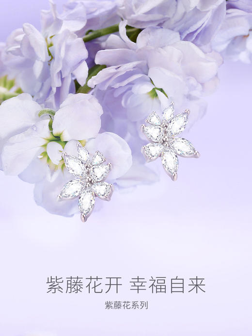 【紫藤花盛放耳钉】Fanci范琦s925银镶嵌款耳夹耳饰 下单赠精美礼盒+顺丰包邮+运费险 商品图1