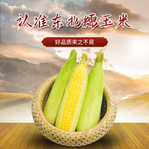寒乡原水果玉米220g*8穗礼盒装 商品图1