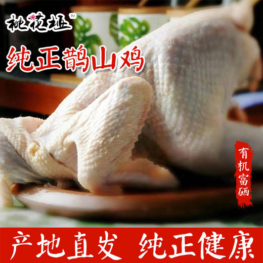 【活动买一送一】有机富硒  桃花垭纯正鹊山鸡 商品图3