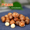有机开口榛子 250g/500g 商品缩略图2
