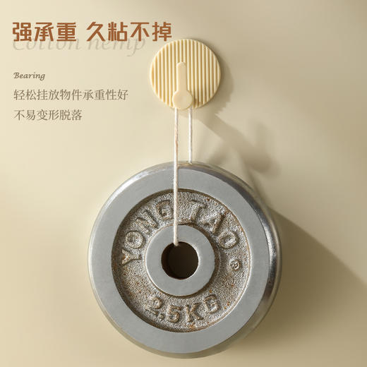 烁果 轻奢条纹挂钩（4个装）颜色随机 商品图2