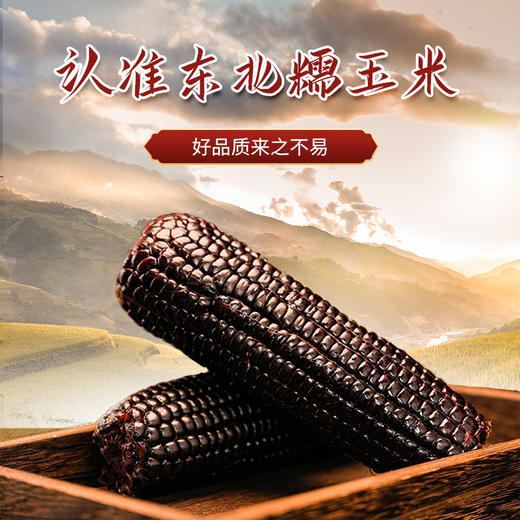 寒乡原黑糯玉米220g*8穗礼盒装 商品图1