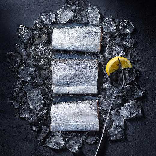 暖心驿站 东海钓带鱼 2500g 12-15条/盒【联想员工春节2024】 商品图4