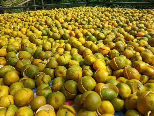 2020年全日晒新会陈皮 200克 礼盒装 商品图6