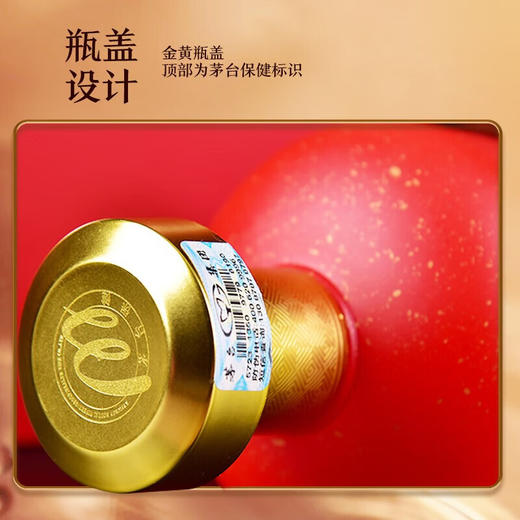 【双支】茅台集团 茅坛起源 酱香型 53度 500ml x2 商品图4