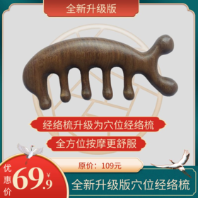经络梳升级为穴位经络梳