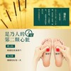 3包优惠装 合计到手30贴 泰国皇家足贴10贴/包以足养身 商品缩略图1