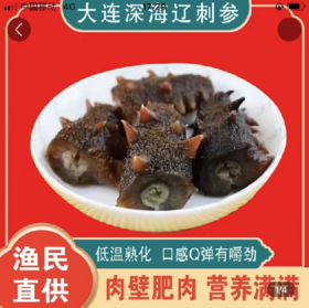 大连鲜食海参 独立包装 开袋即食