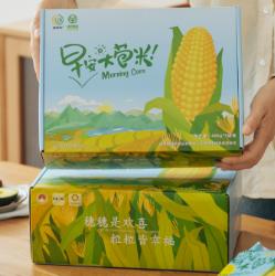 【2023新版】早安大苞米 东北黄金甜糯玉米 早餐营养粗粮 无添加 颗粒饱满 香糯可口 10根装 商品图0