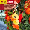 【专柜同款精品】B.Duck钥匙扣挂件 商品缩略图2
