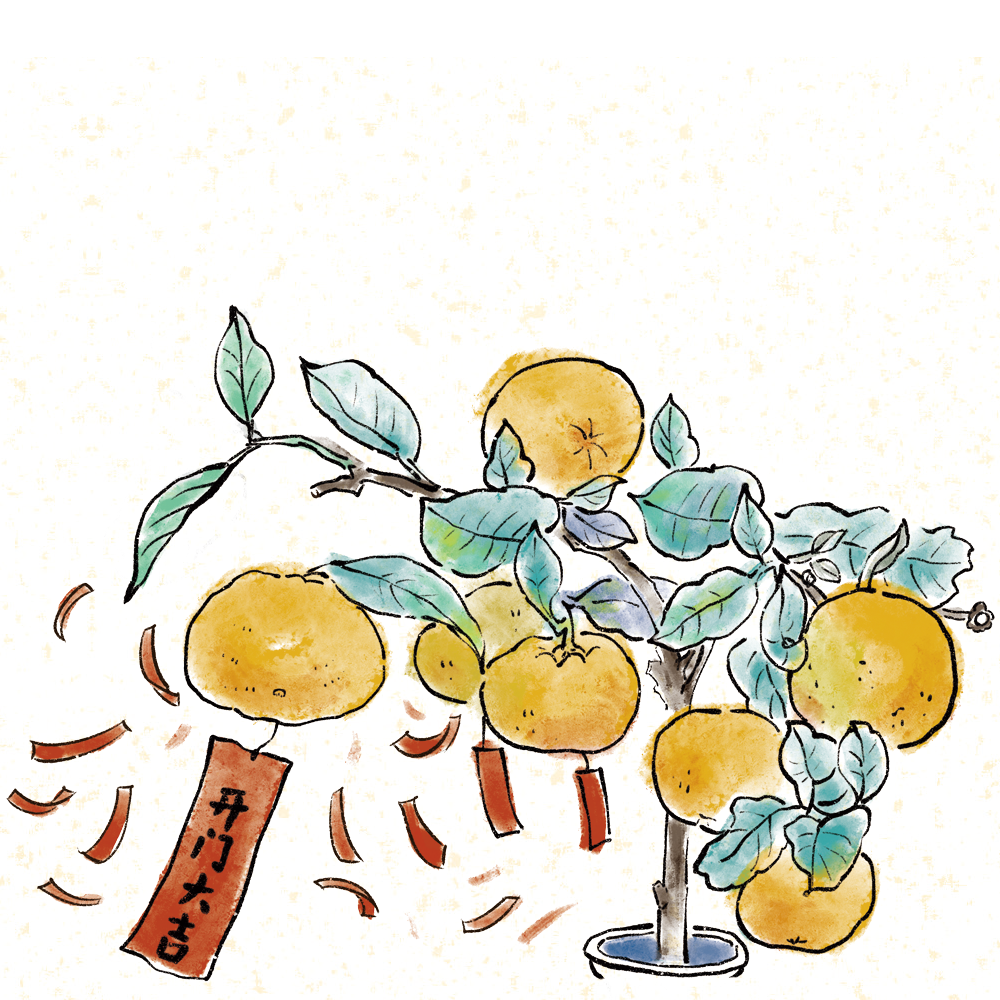 第19集 初五·开门大吉