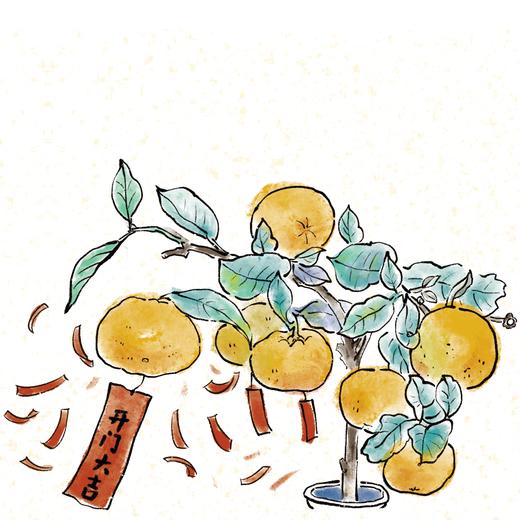 第19集 初五·开门大吉 商品图0